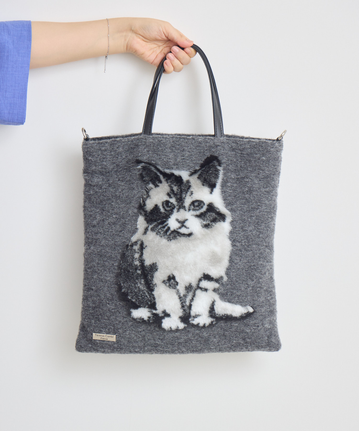 TERESACAMBI】CAT-2 | IKG crossing