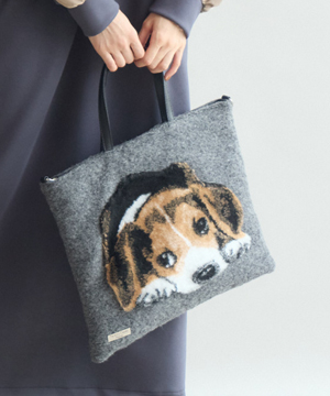TERESACAMBI】DOG-1 | IKG crossing