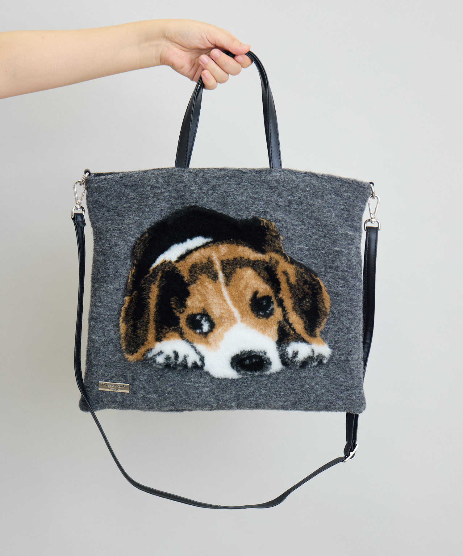 TERESACAMBI】DOG-1 | IKG crossing