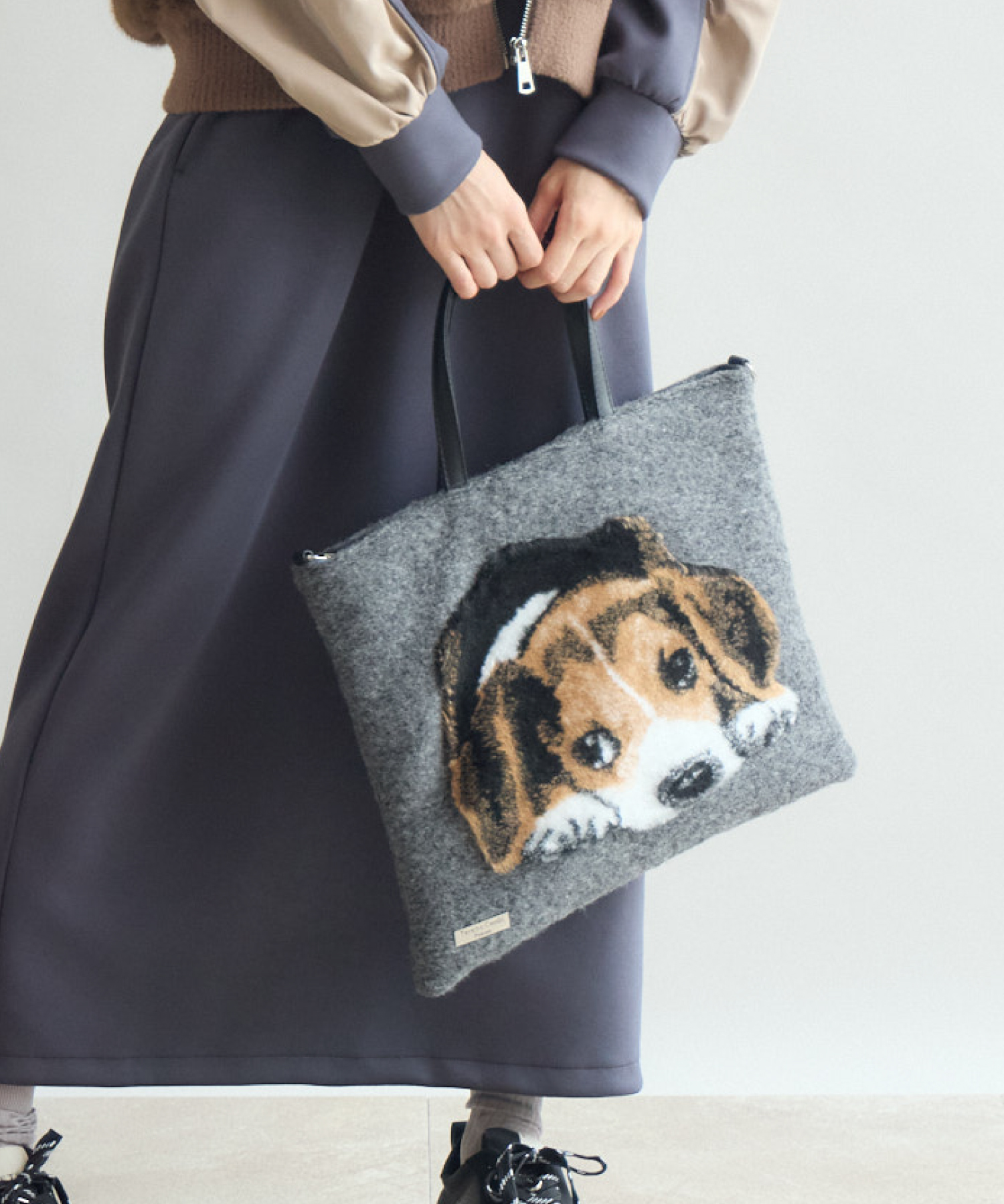 TERESACAMBI】DOG-1 | IKG crossing