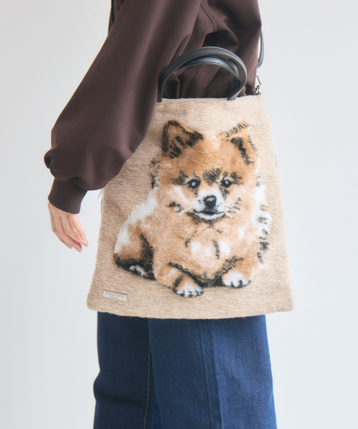 TERESACAMBI】DOG-2 | IKG crossing