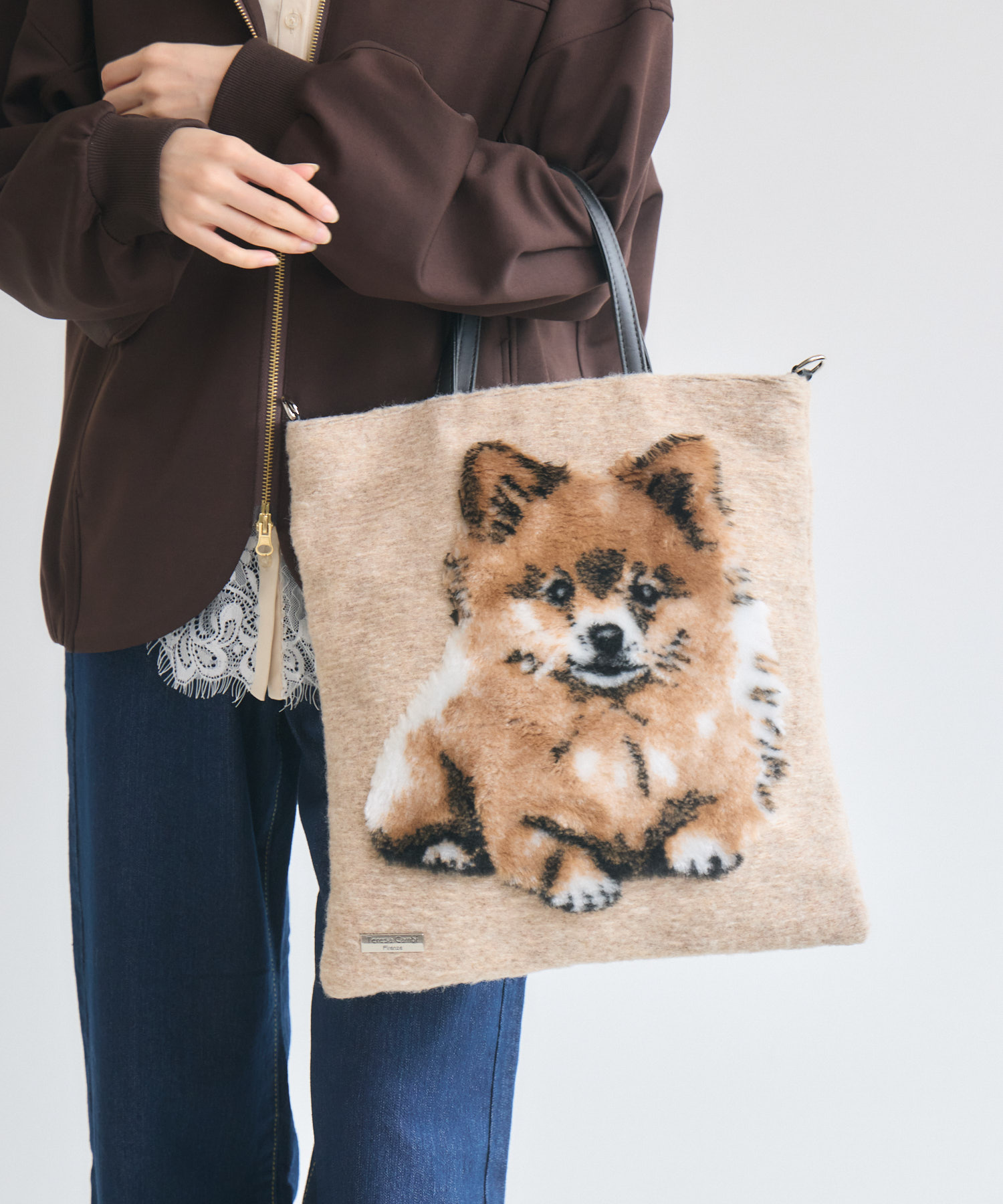 TERESACAMBI】DOG-2 | IKG crossing