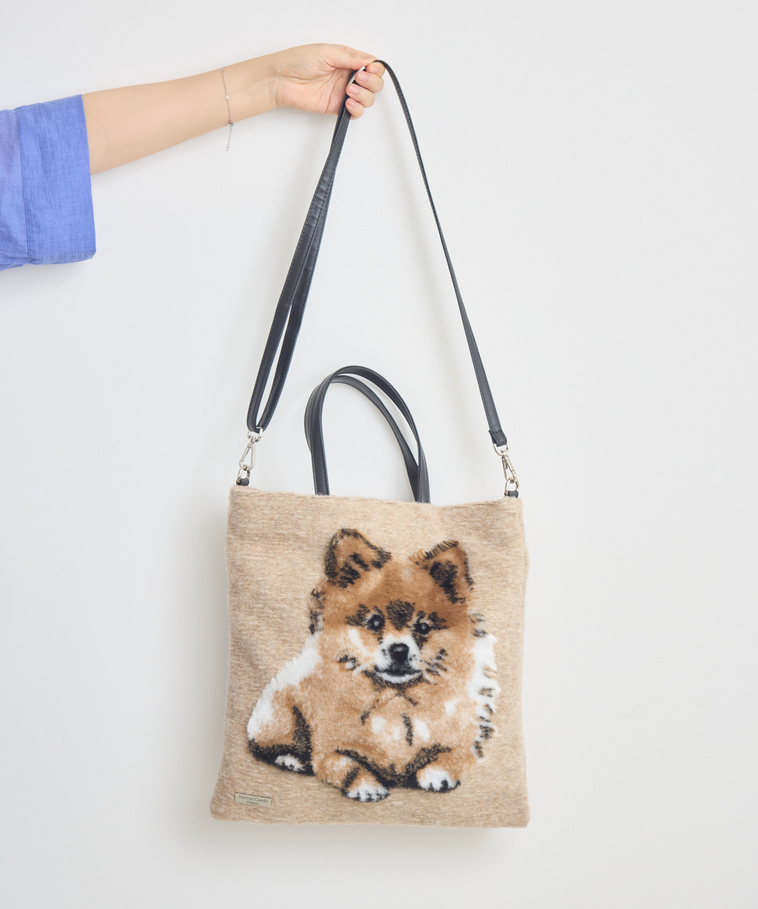 TERESACAMBI】DOG-2 | IKG crossing