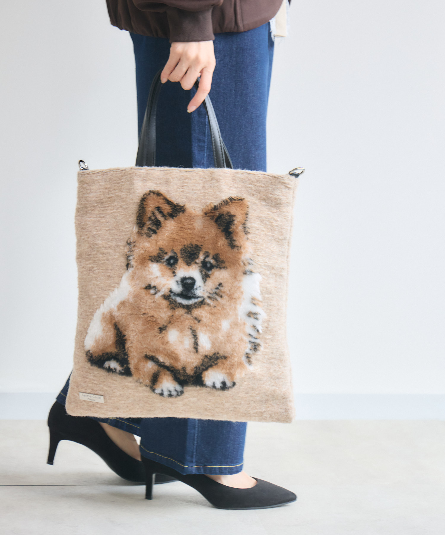TERESACAMBI】DOG-2 | IKG crossing