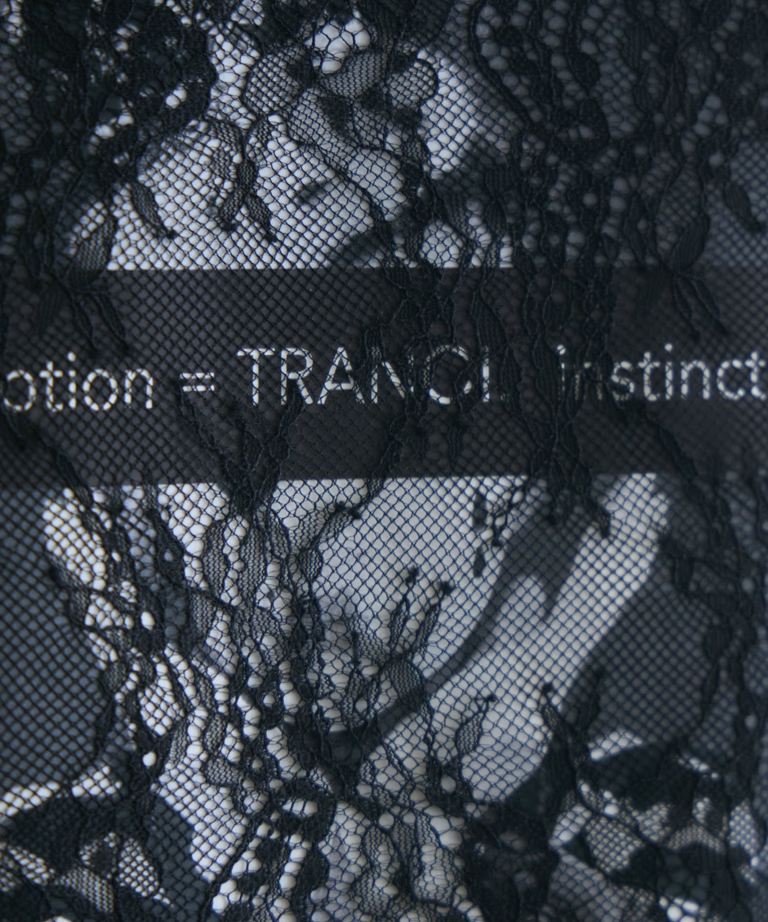 残りわずか】TRANOI. レースワイドTシャツ | IKG crossing
