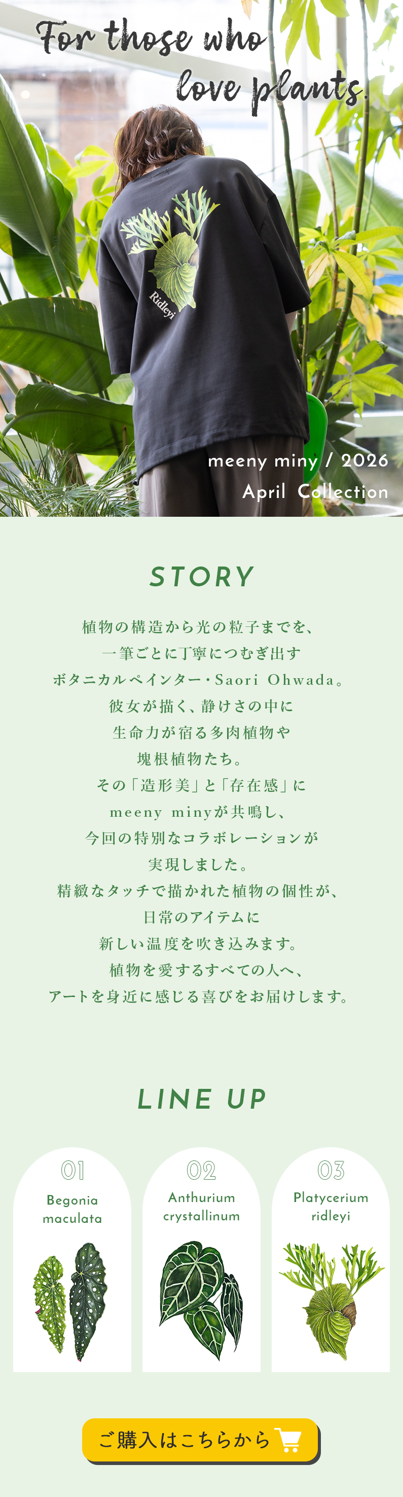 植物のある暮らし - ボタニカルペインター「Saori ohwada」×meeny miny